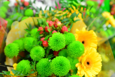 Similar image 7662499