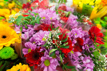 Similar image 7662500