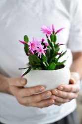 Similar image 7662505