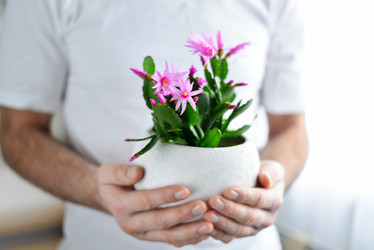 Similar image 7662506