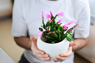 Similar image 7662507