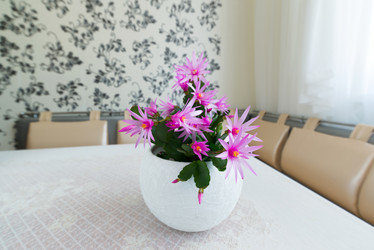 Similar image 7662551