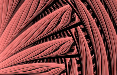 Similar image 7662809