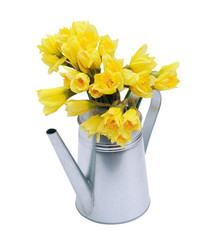 Similar image 7662819