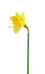 Similar image 7662825