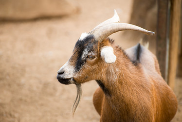 Similar image 7662861