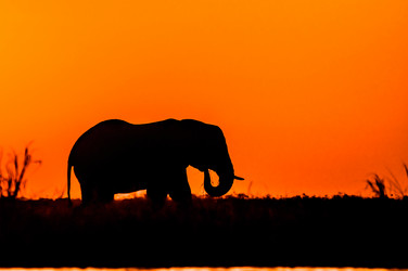 Similar image 7662868