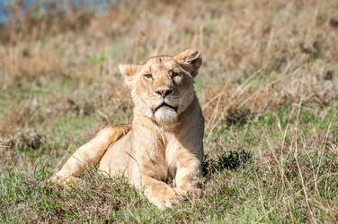 Similar image 7662869