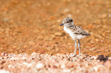 Similar image 7662870