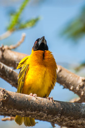 Similar image 7662871