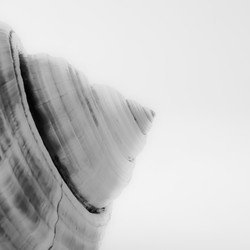 Similar image 7662873