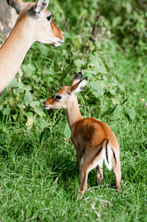 Similar image 7662874