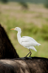 Similar image 7662875