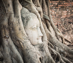 Similar image 7662891