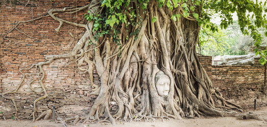 Similar image 7662892