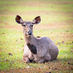 Similar image 7662902