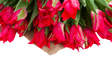 Similar image 7662944