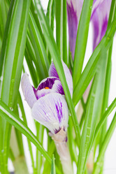 Similar image 7662958