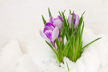 Similar image 7662959