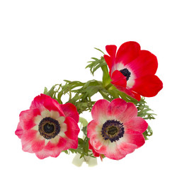 Similar image 7662962