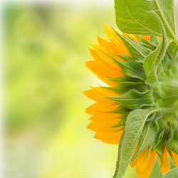 Similar image 7662969