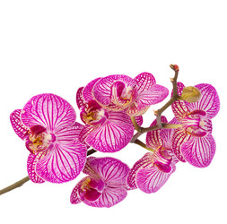 Similar image 7662975