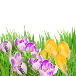 Similar image 7662998