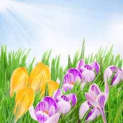 Similar image 7662999