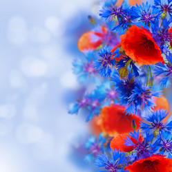 Similar image 7663003