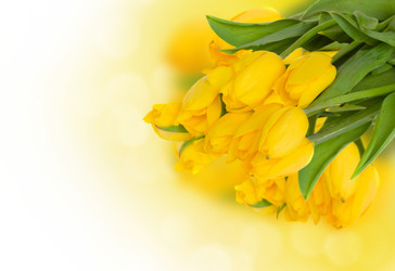 Similar image 7663010