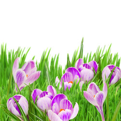 Similar image 7663012