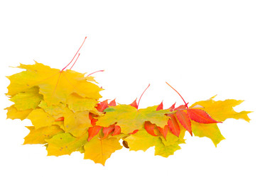 Similar image 7663024