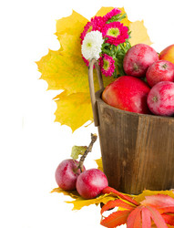 Similar image 7663026