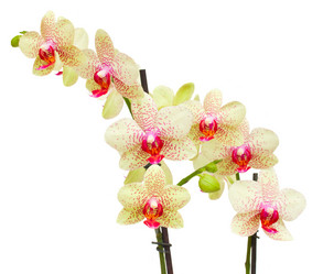 Similar image 7663033