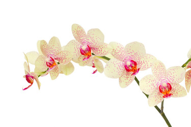 Similar image 7663037