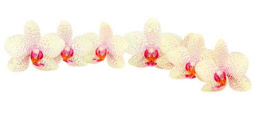 Similar image 7663055