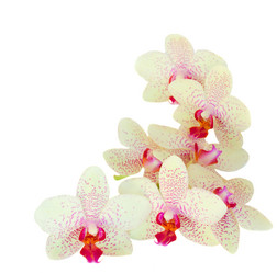 Similar image 7663056