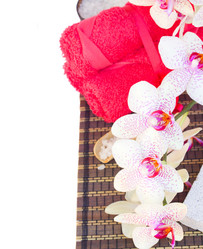 Similar image 7663061