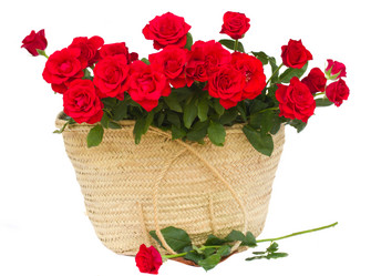 Similar image 7663070