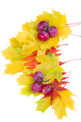 Similar image 7663075