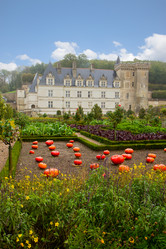 Similar image 7663089