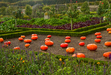 Similar image 7663091