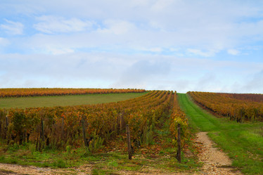 Similar image 7663092