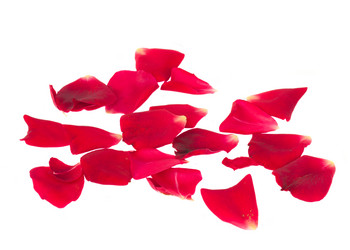 Similar image 7663097