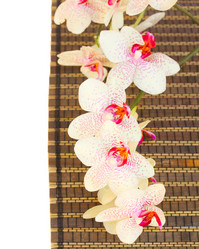 Similar image 7663107