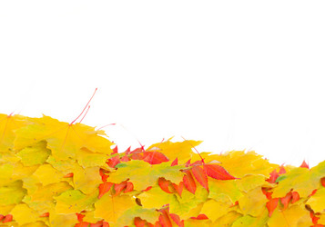 Similar image 7663113