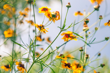 Similar image 7663166