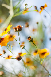 Similar image 7663167