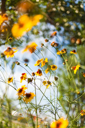 Similar image 7663168