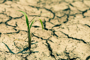 Similar image 7663181